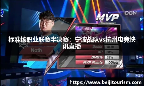 标准场职业联赛半决赛：宁波战队vs杭州电竞快讯直播