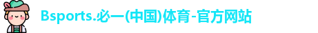 B体育官网